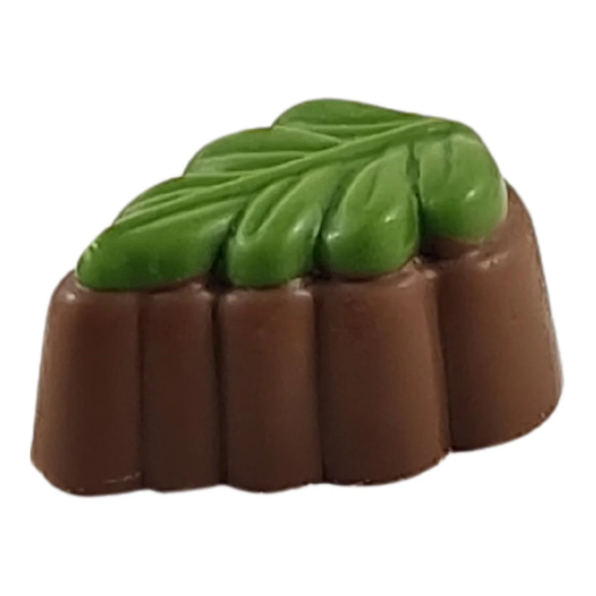 Kiwi Fruit 32/Box
